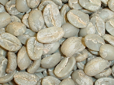 カメルーンの生豆