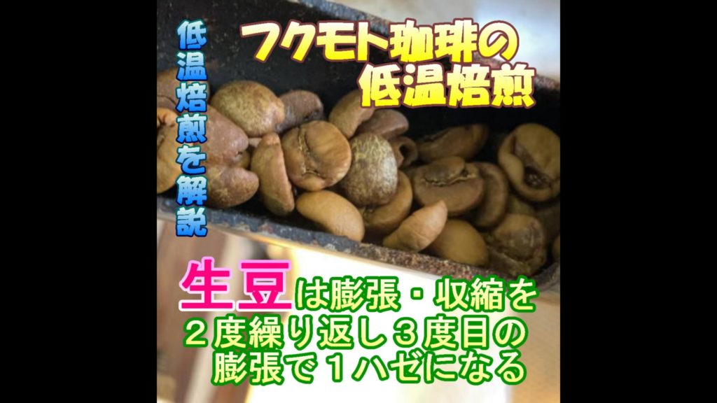 フクモト珈琲の低温焙煎
生豆は膨張・収縮を２度繰り返し３度目の膨張で１ハゼになる