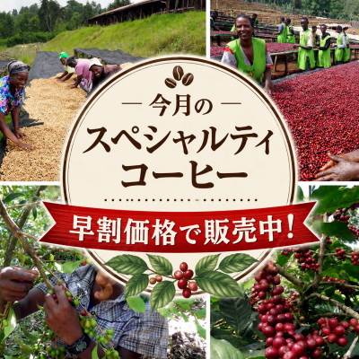 早割価格で販売中